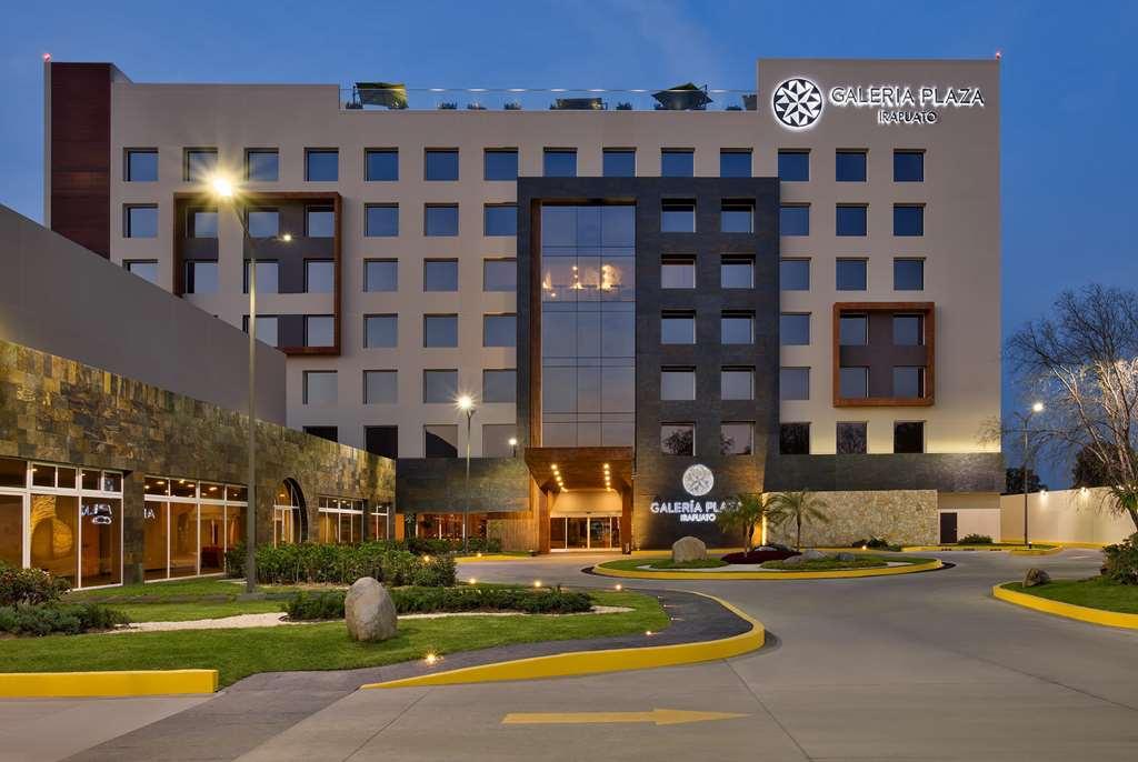 Galeria Plaza Irapuato Hotel Eksteriør billede