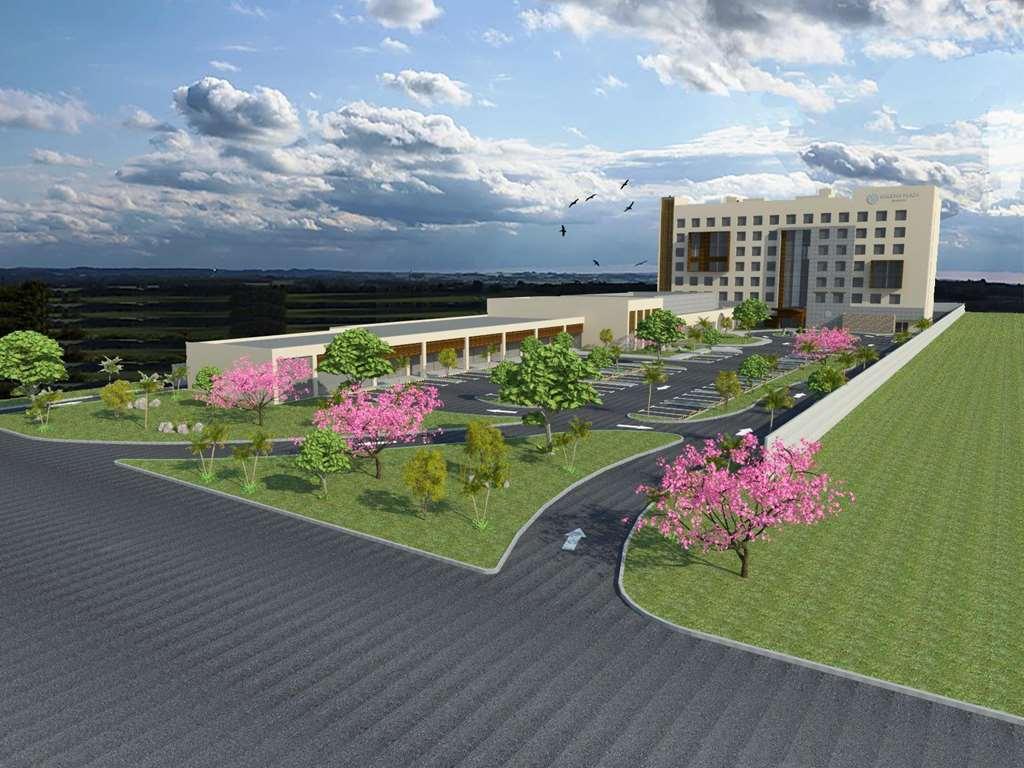 Galeria Plaza Irapuato Hotel Eksteriør billede